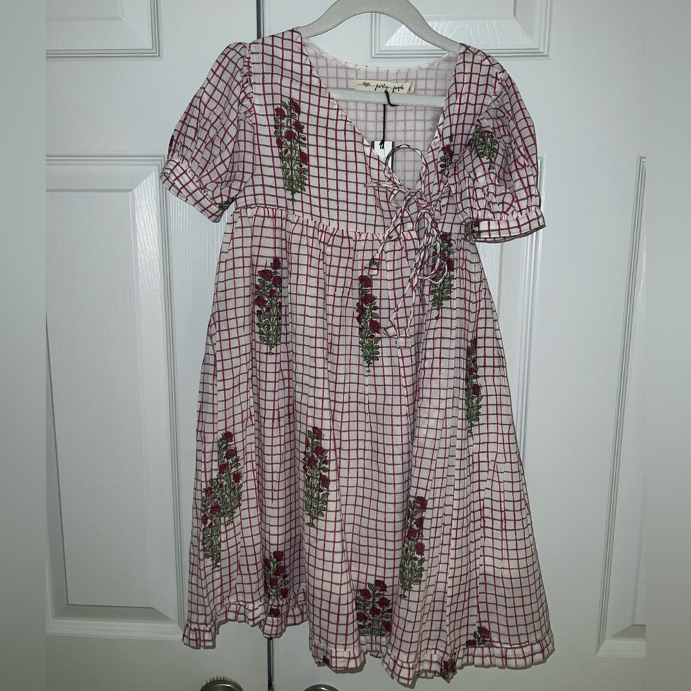 Little paisley people pink checks June dress